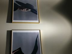 -四季美学色彩形象管理服装搭配
