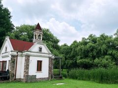 -上海共青森林公园