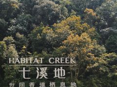 -世间香境·七溪地