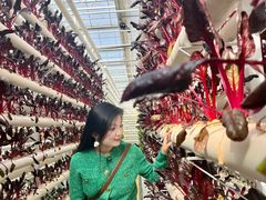 -兰陵国家农业公园