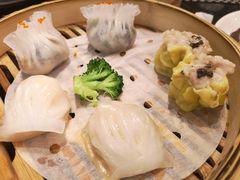 -新兴·金羊座·粤菜点心(乐峰店)