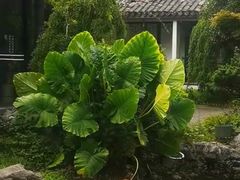 -日出青木·杭帮菜名店