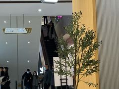 -伏小桃(茂业天地店)