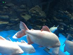 -多彩贵州城极地海洋世界