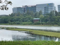 -华侨城湿地公园