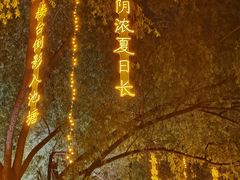 -万泉公园