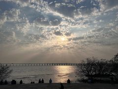 -宝安西湾红树林湿地公园