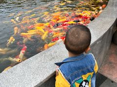 -国色天乡三期陆地乐园