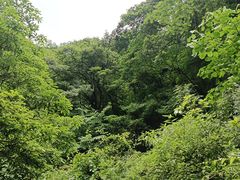-西岭雪山大飞水景区
