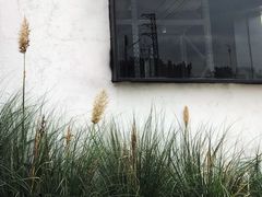 -来回·咖啡(钟村咖啡豆店)