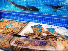 水产区-乔哥铭洋海鲜自助(皇城恒隆广场店)