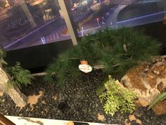 -小厨娘淮扬菜(六合欢乐港店)