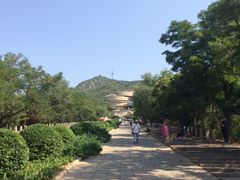 -府君山公园