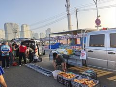 -东戴河风景区