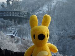 -少华山国家森林公园