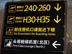 -郑州新郑国际机场-T2航站楼