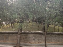 -关林