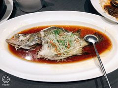 清蒸笋壳鱼-望乡楼上海菜(日月光店)