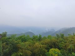 -莫干山风景区