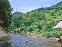 -北仑森林植物园