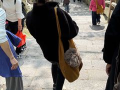 -普陀山慧济禅寺