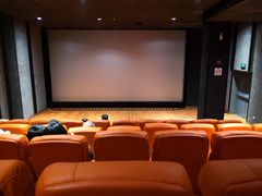 -华美国际影城(旧宫永辉店)