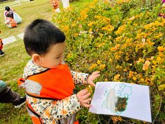 -金点蒙氏国际教育(悠然校区)