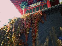 -北山公园