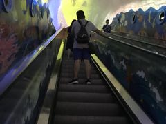 -成都浩海立方海洋公园