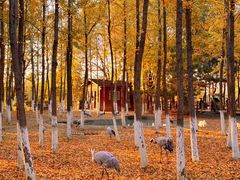 -艾溪湖湿地公园