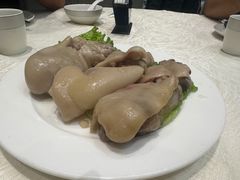 -丁老爷子苏香圆