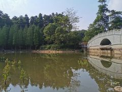 -广州市帽峰山景区