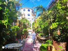 -The Grounds of Alexandria
