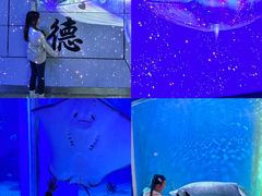 -顺德南宏海立方海洋公园