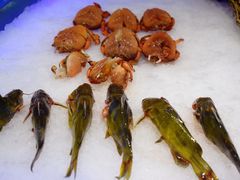 -深海800米海鲜自助(万达广场店)