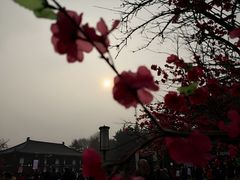 -大雁塔北广场音乐喷泉