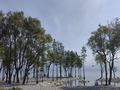 -大理洱海