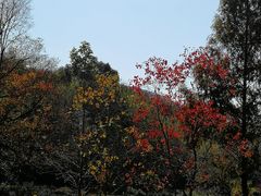 -塔川景区