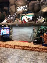 -卡通尼·Safari非洲探索乐园·生日会(金桥国际商业广场店)