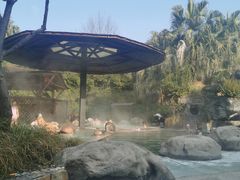 -雅安楠水阁温泉酒店