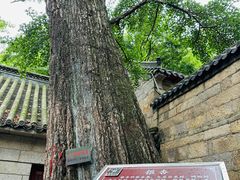 -青岛崂山太清宫