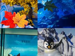 -海合安天津极地海洋公园