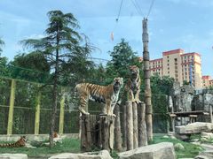 -上海野生动物园