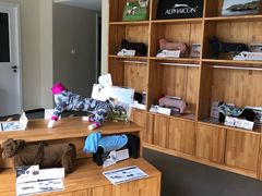 -爱妮康宠物医院·干细胞免疫细胞·肿瘤·心脏(张江店)