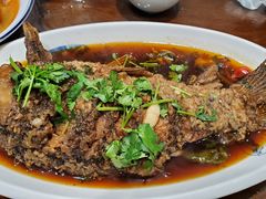 -煎饼卷大葱(春秋西路店)