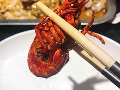 -不炭白烧烤(成都首店)