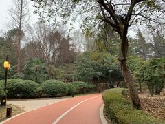-西苑公园