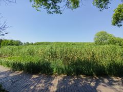 -同里国家湿地公园