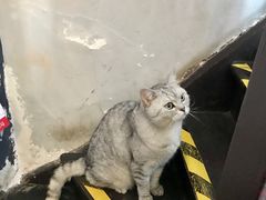 -不舍昼夜咖啡馆