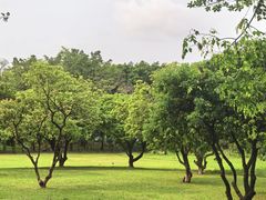 -福神岗公园